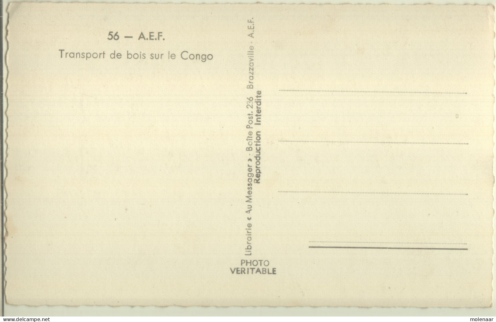 Postkaarten > Afrika > Equatoriaal GuineaTransprt De Bois Sur Le CONGO Ongebruikt (13167) - Guinée Equatoriale