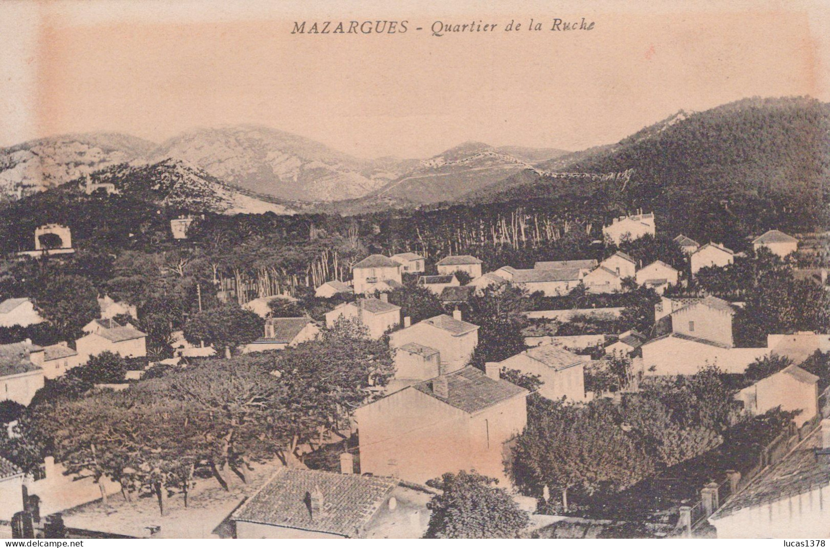 13 / MARSEILLE / MAZARGUES / QUARTIER DE LA RUCHE - Südbezirke, Mazargues, Bonneveine, Pointe Rouge, Calanque-Felsen