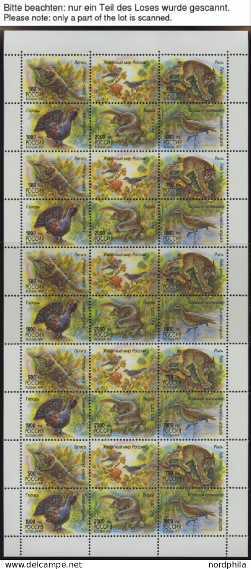 RUSSLAND KB , 1997, Einheimische Fauna Und Russisches Museum, 5 Kleinbogen (Mi.Nr. 597-601, 623-26), Pracht, Mi. 70.- - Autres & Non Classés