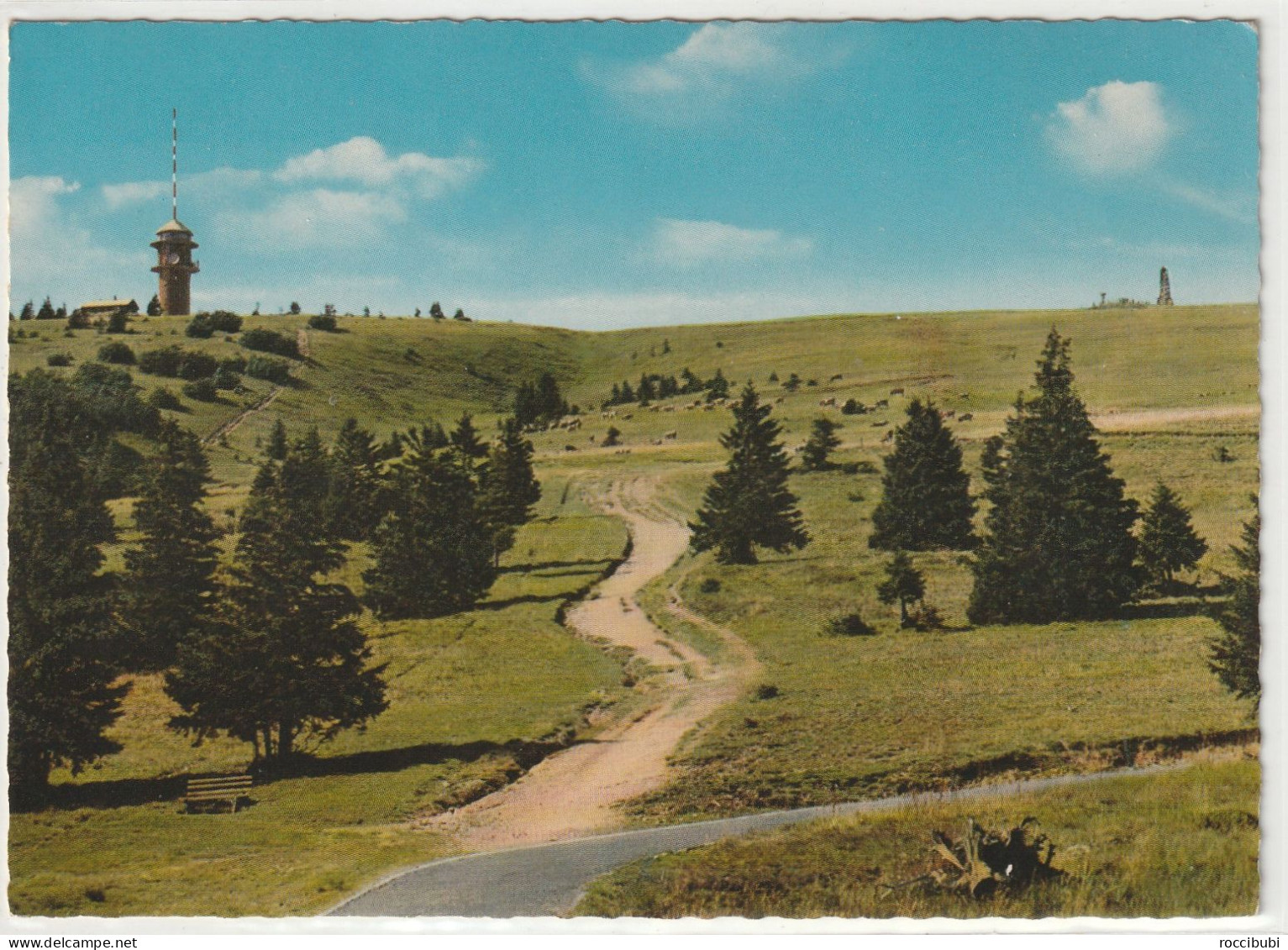 Feldberg - Feldberg