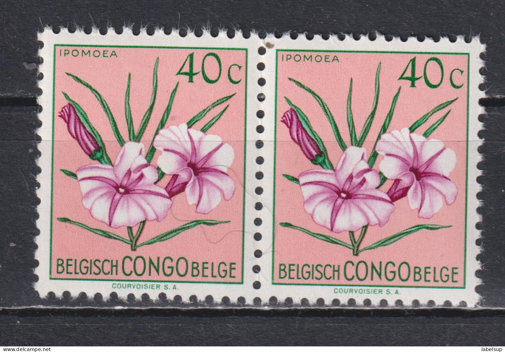 Paire De Timbres Neufs** Du Congo Belge De 1952 Fleurs MNH N° 306 - Ongebruikt