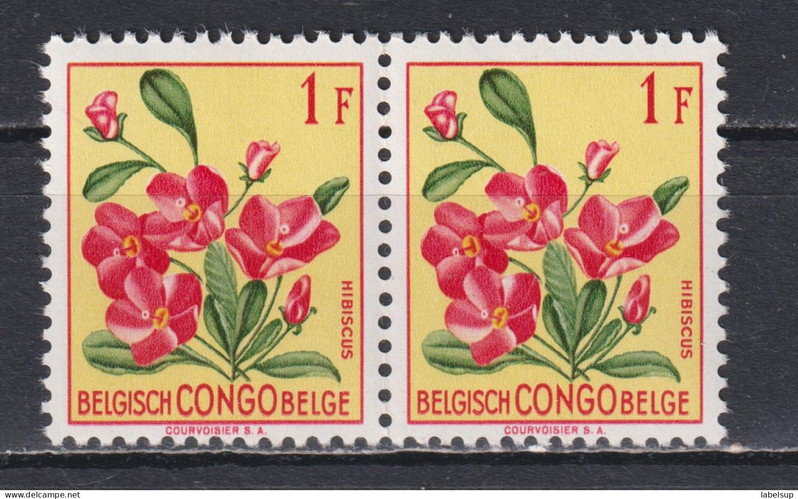 Paire De Timbres Neufs** Du Congo Belge De 1952 Fleurs MNH N° 310 - Unused Stamps
