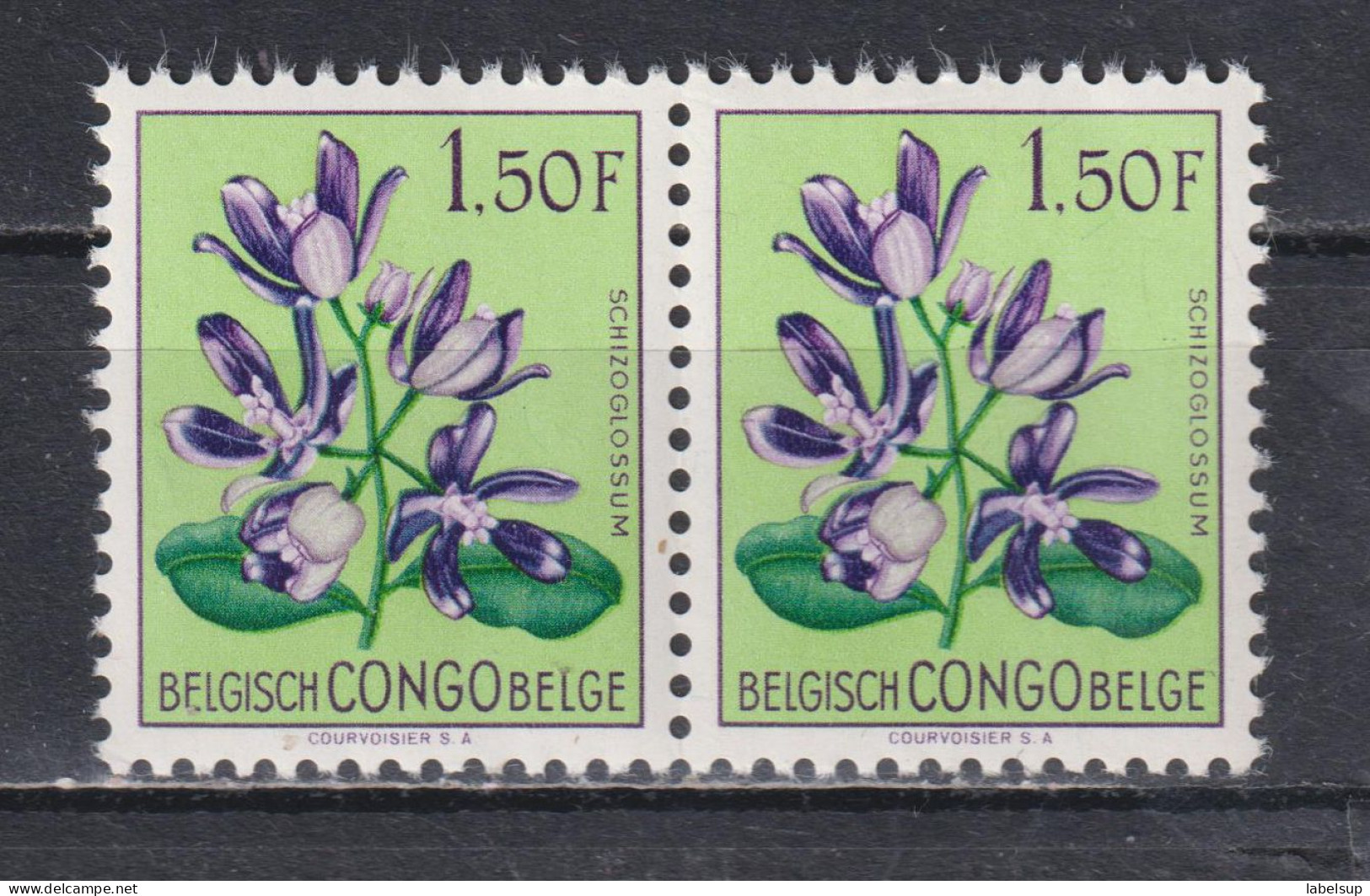 Paire De Timbres Neufs** Du Congo Belge De 1952 Fleurs MNH N° 312 - Unused Stamps