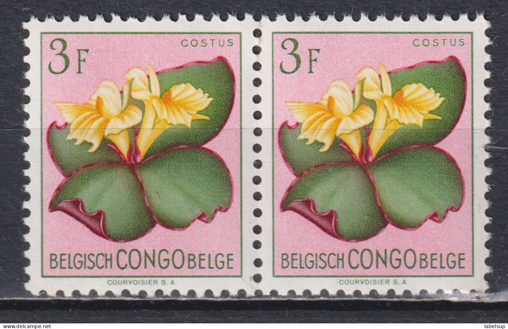 Paire De Timbres Neufs** Du Congo Belge De 1952 Fleurs MNH N° 314 - Neufs