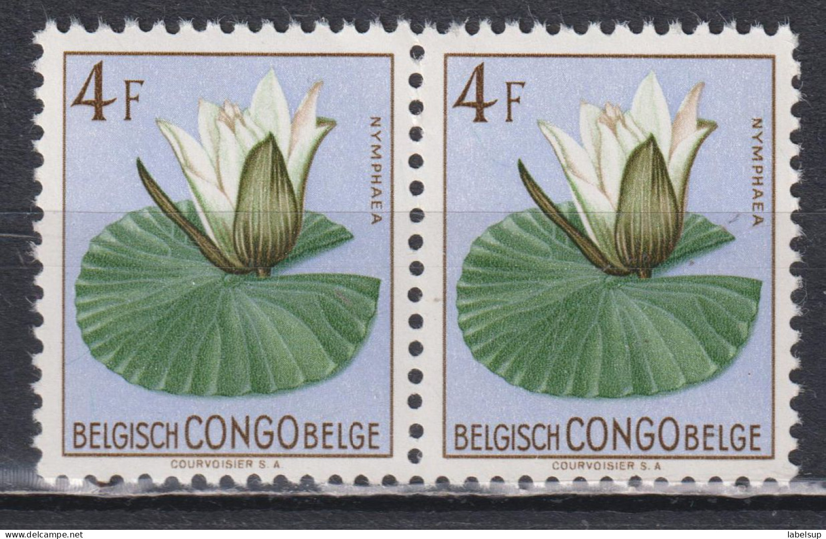 Paire De Timbres Neufs** Du Congo Belge De 1952 Fleurs MNH N° 315 - Nuovi