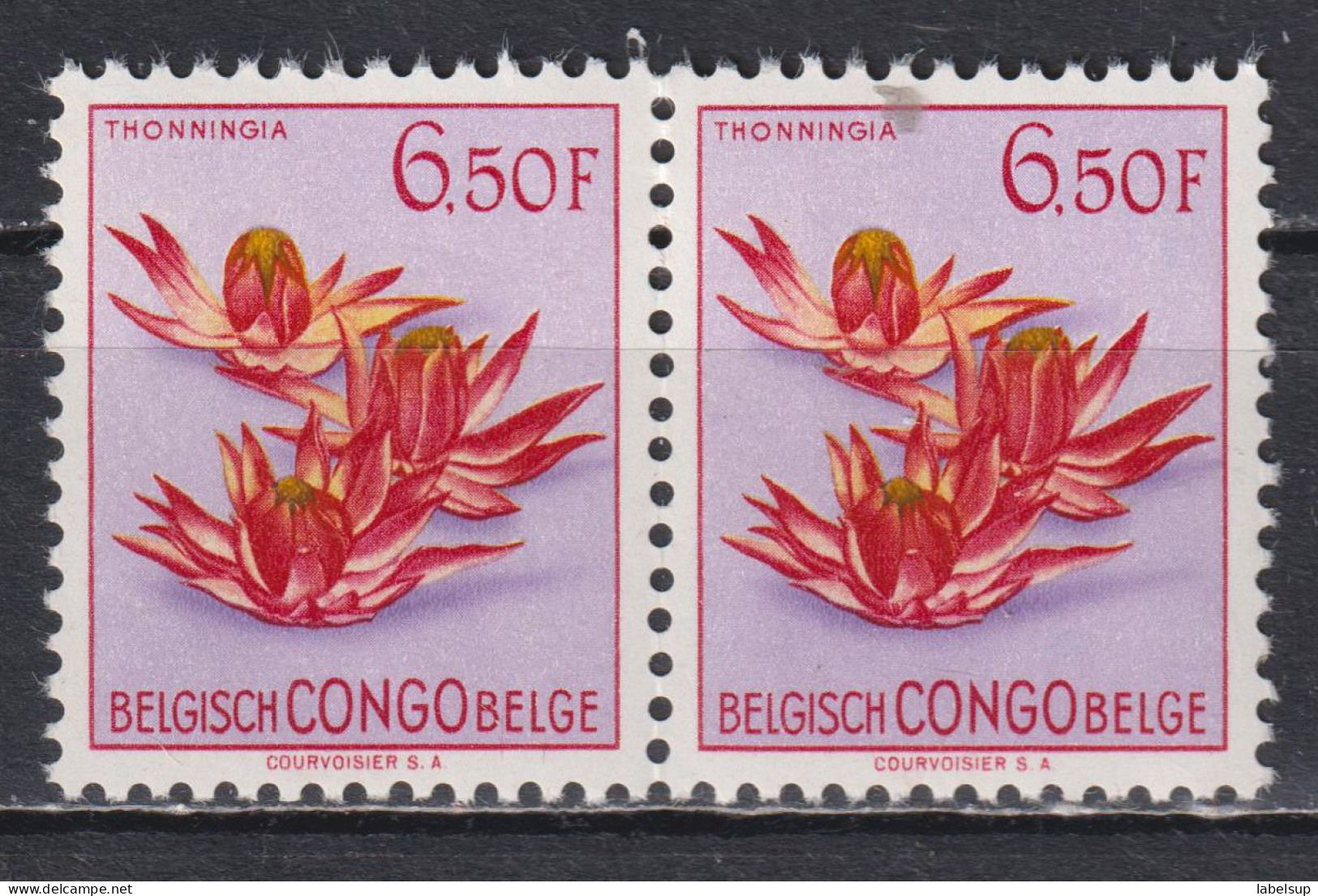 Paire De Timbres Neufs** Du Congo Belge De 1952 Fleurs MNH N° 317 - Neufs