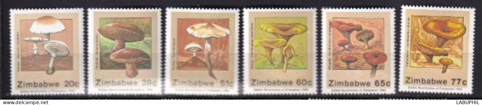 ZIMBABWE MNH ** 1992 Champignons - Zimbabwe (1980-...)