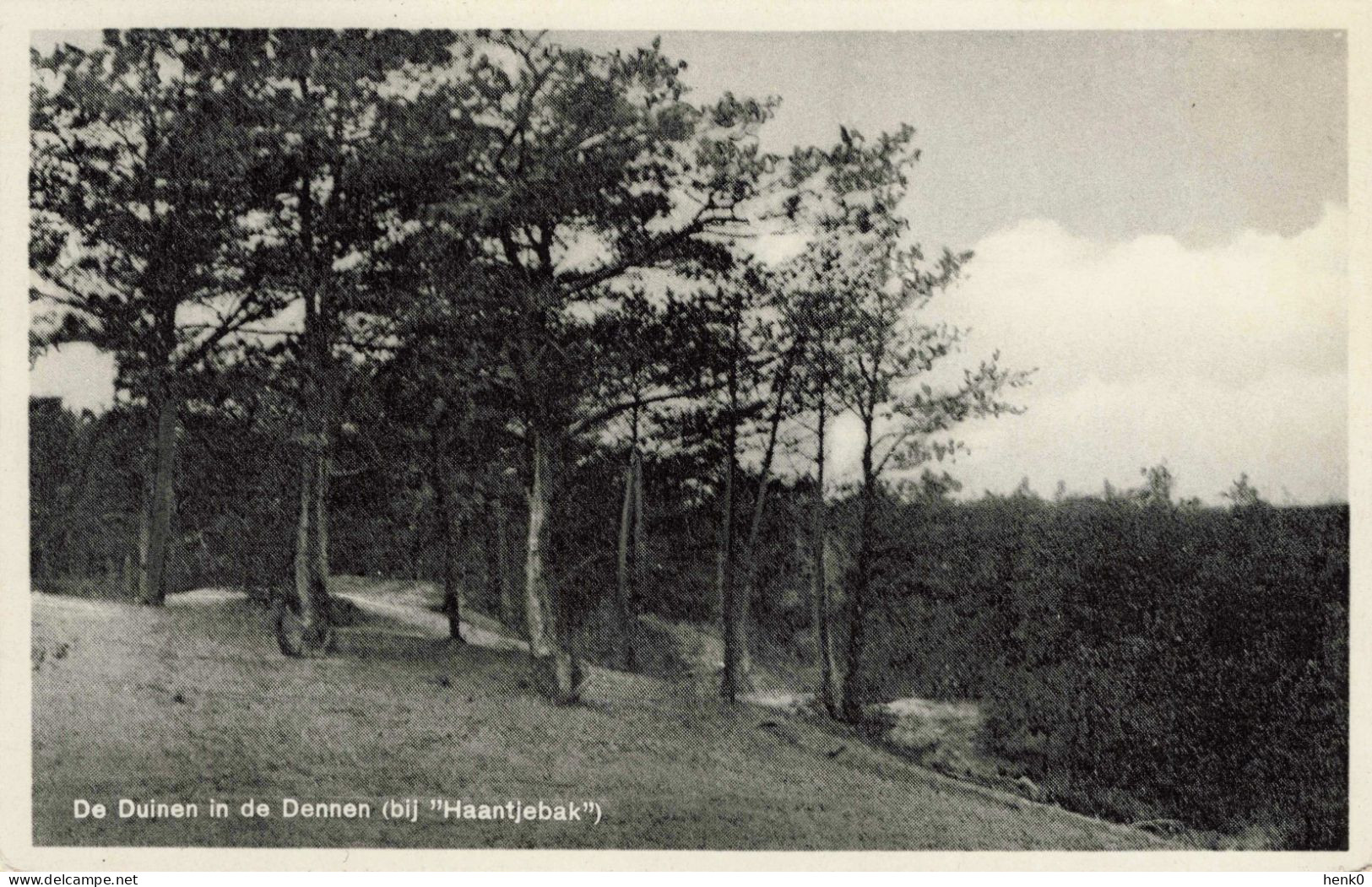 Emmen De Duinen Bij Haantjebak K6544 - Emmen