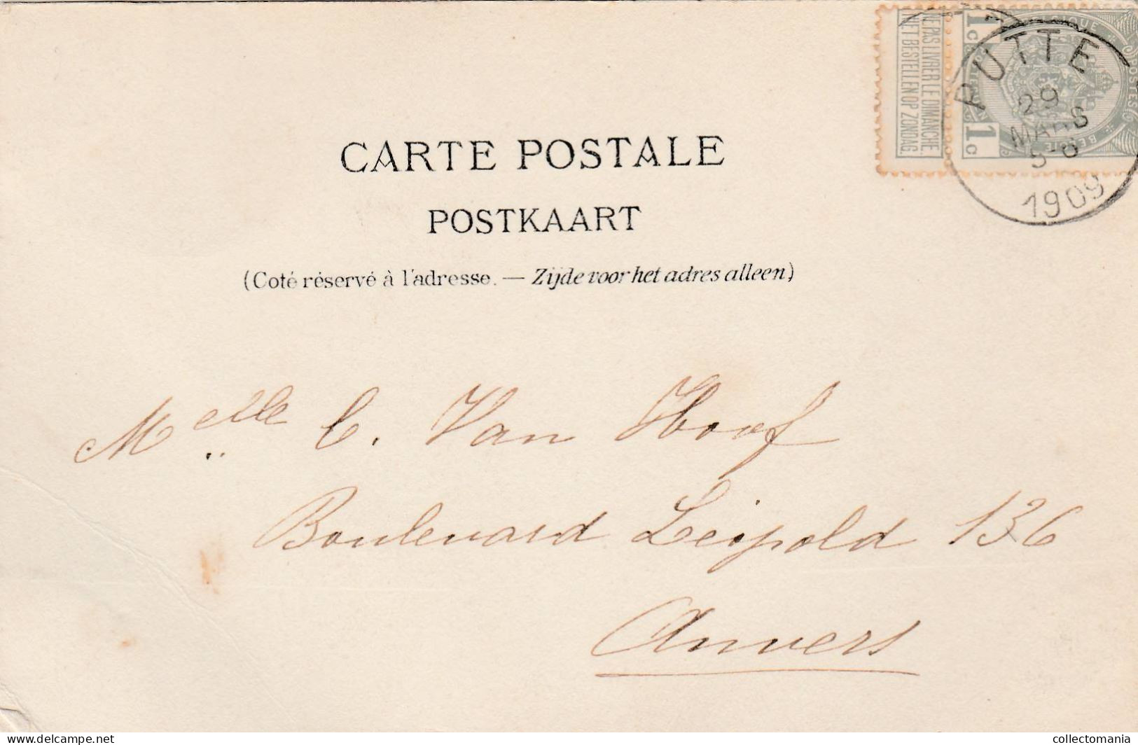 1 Oude Postkaart  Putte  Bij Mechelen   Transvaal   1909  Uitgever Schrijvers - Putte