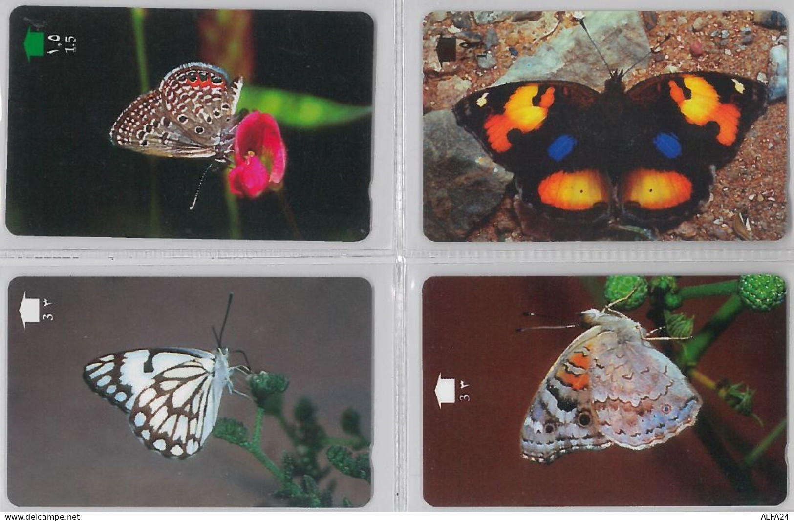 LOT 4 PHONE CARD- OMAN (E28.36.5 - Oman