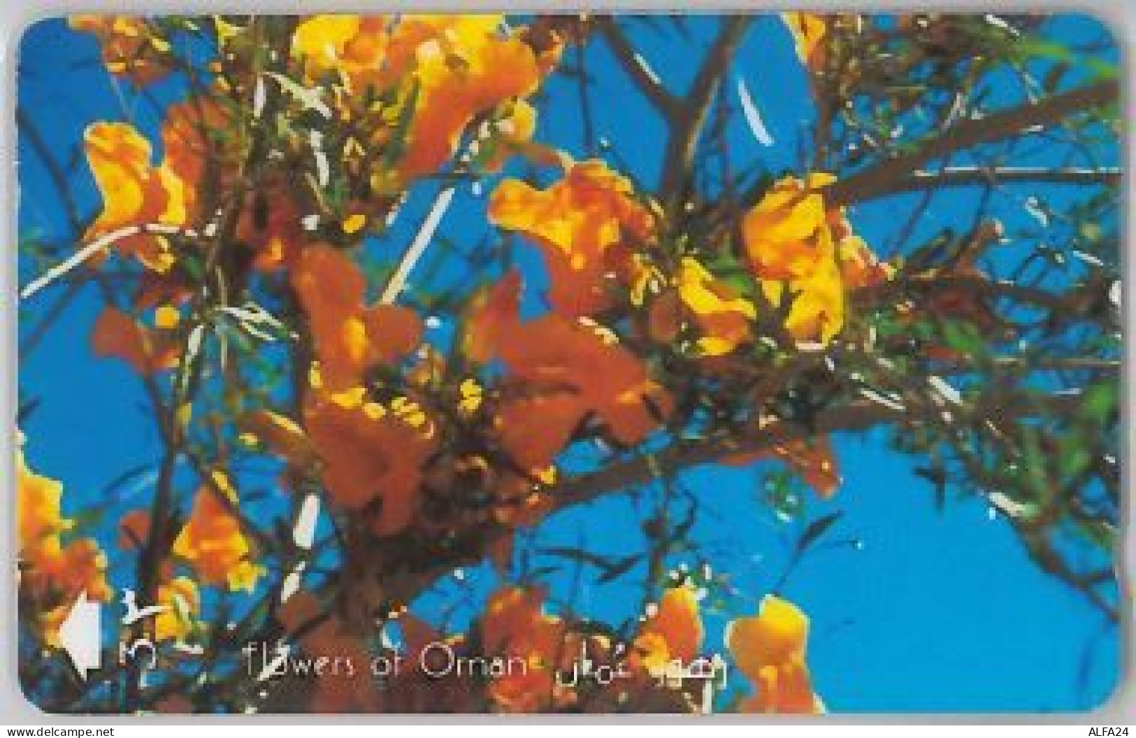 PHONE CARD- OMAN (E28.32.8 - Oman