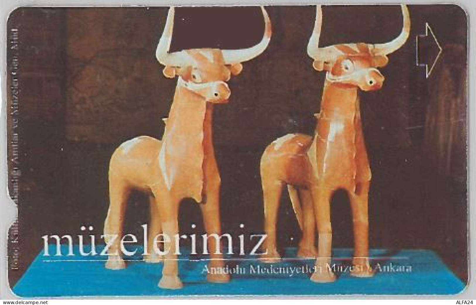 PHONE CARD- TURCHIA (E24.16.5 - Turkey