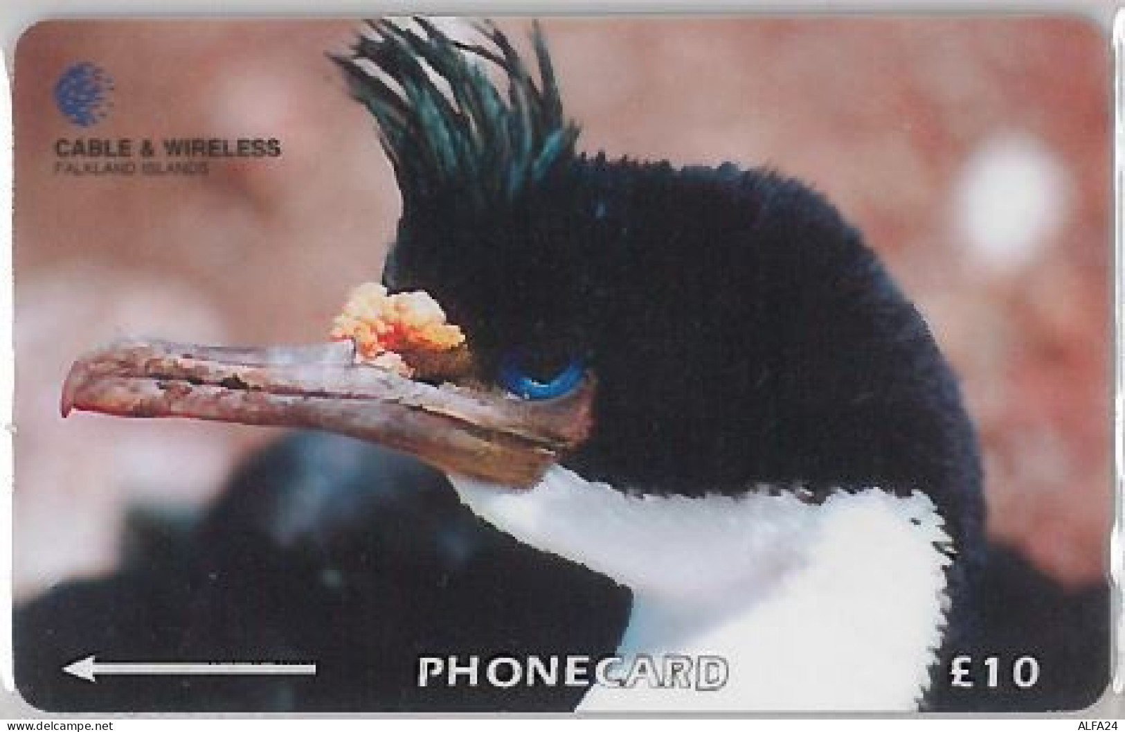PHONE CARD - ISOLE FALKLAND (E36.23.8 - Falkland Islands