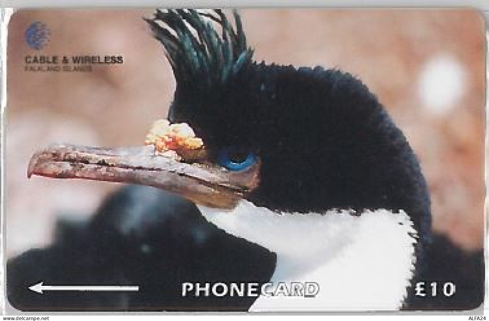 PHONE CARD -FALKLAND (E41.33.7 - Falkland Islands