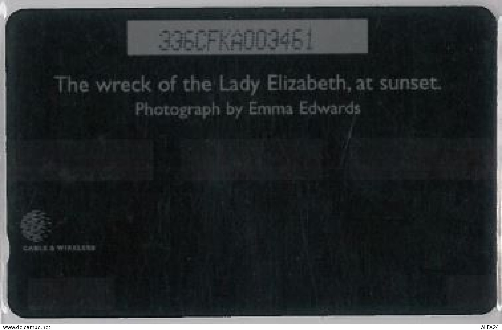 PHONE CARD -FALKLAND (E41.33.5 - Falkland