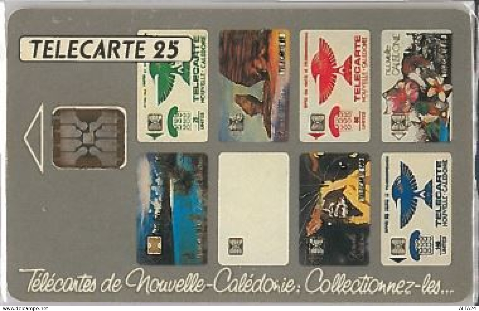 PHONE CARD -NUOVA CALEDONIA (E41.26.8 - New Caledonia
