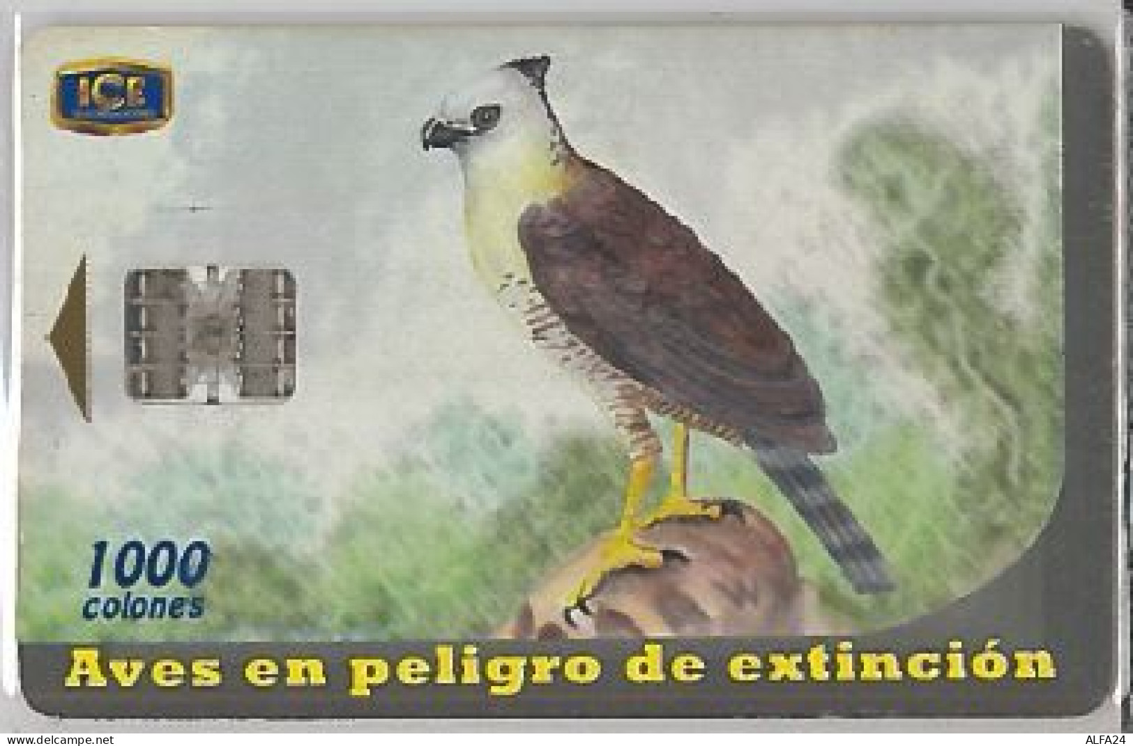 PHONE CARD - COSTA RICA (E41.25.8 - Costa Rica