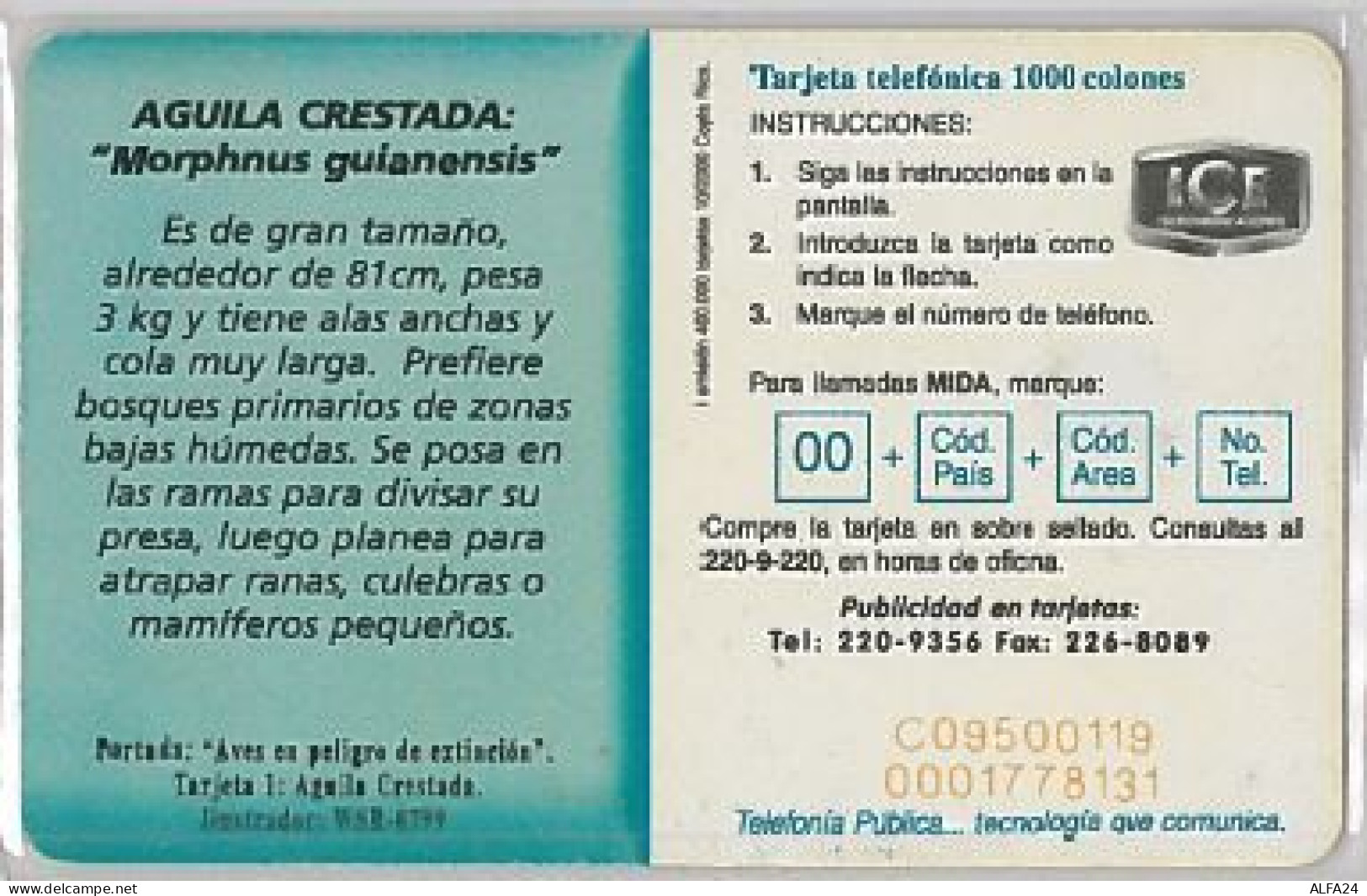 PHONE CARD - COSTA RICA (E41.25.8 - Costa Rica