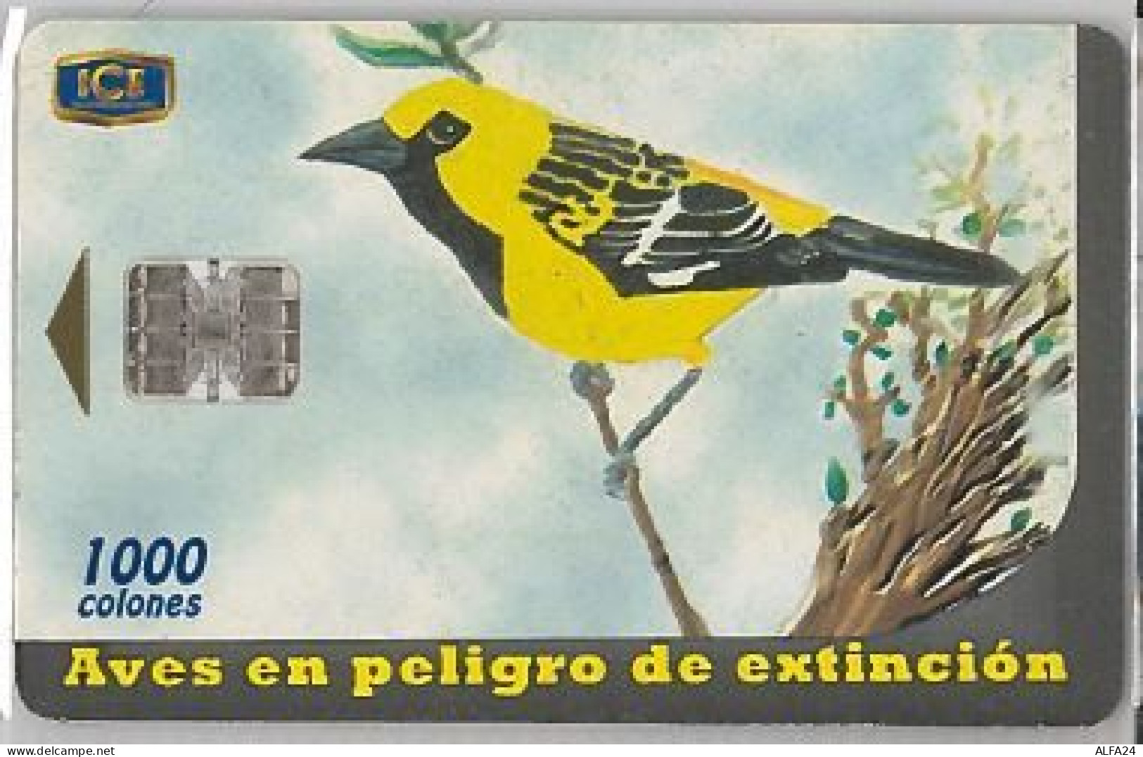 PHONE CARD - COSTA RICA (E41.25.6 - Costa Rica