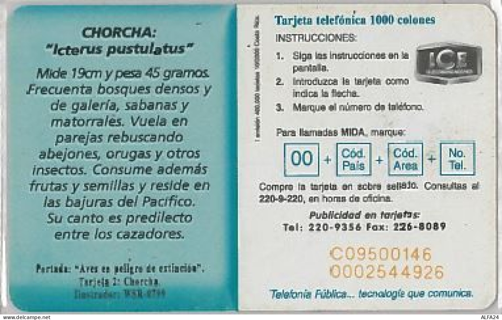 PHONE CARD - COSTA RICA (E41.25.6 - Costa Rica