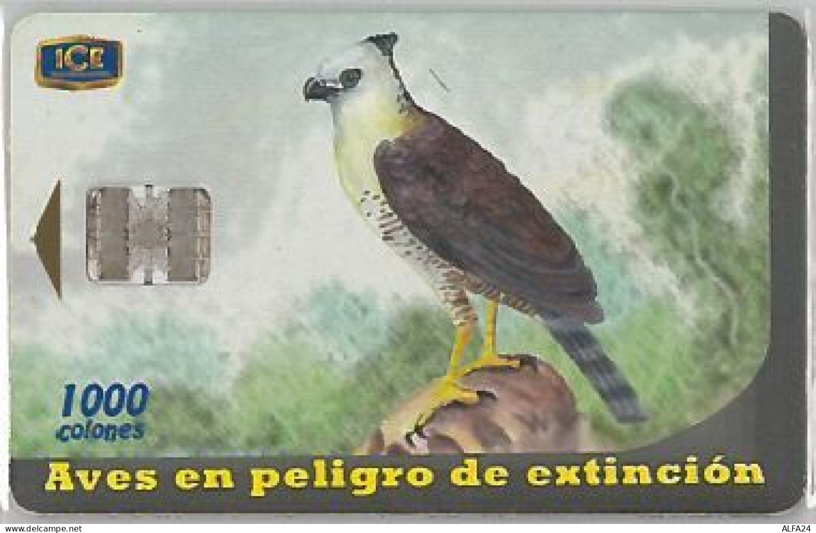 PHONE CARD - COSTA RICA (E41.25.1 - Costa Rica