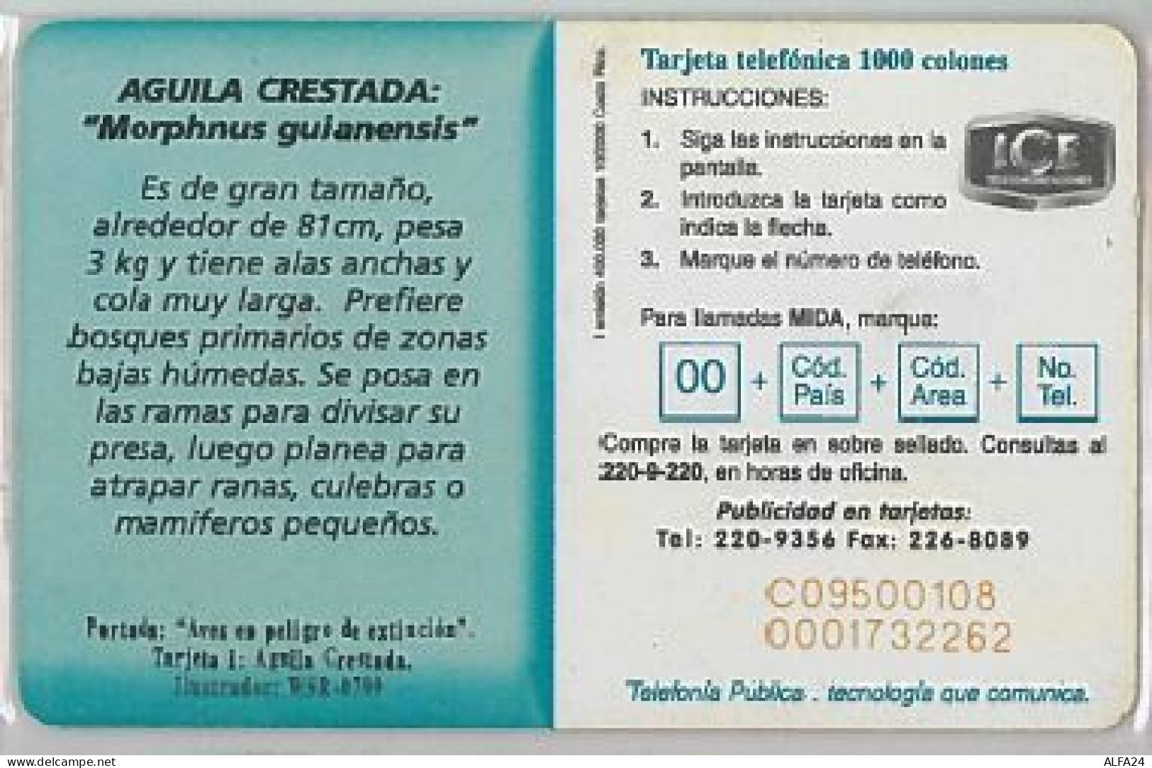 PHONE CARD - COSTA RICA (E41.25.1 - Costa Rica