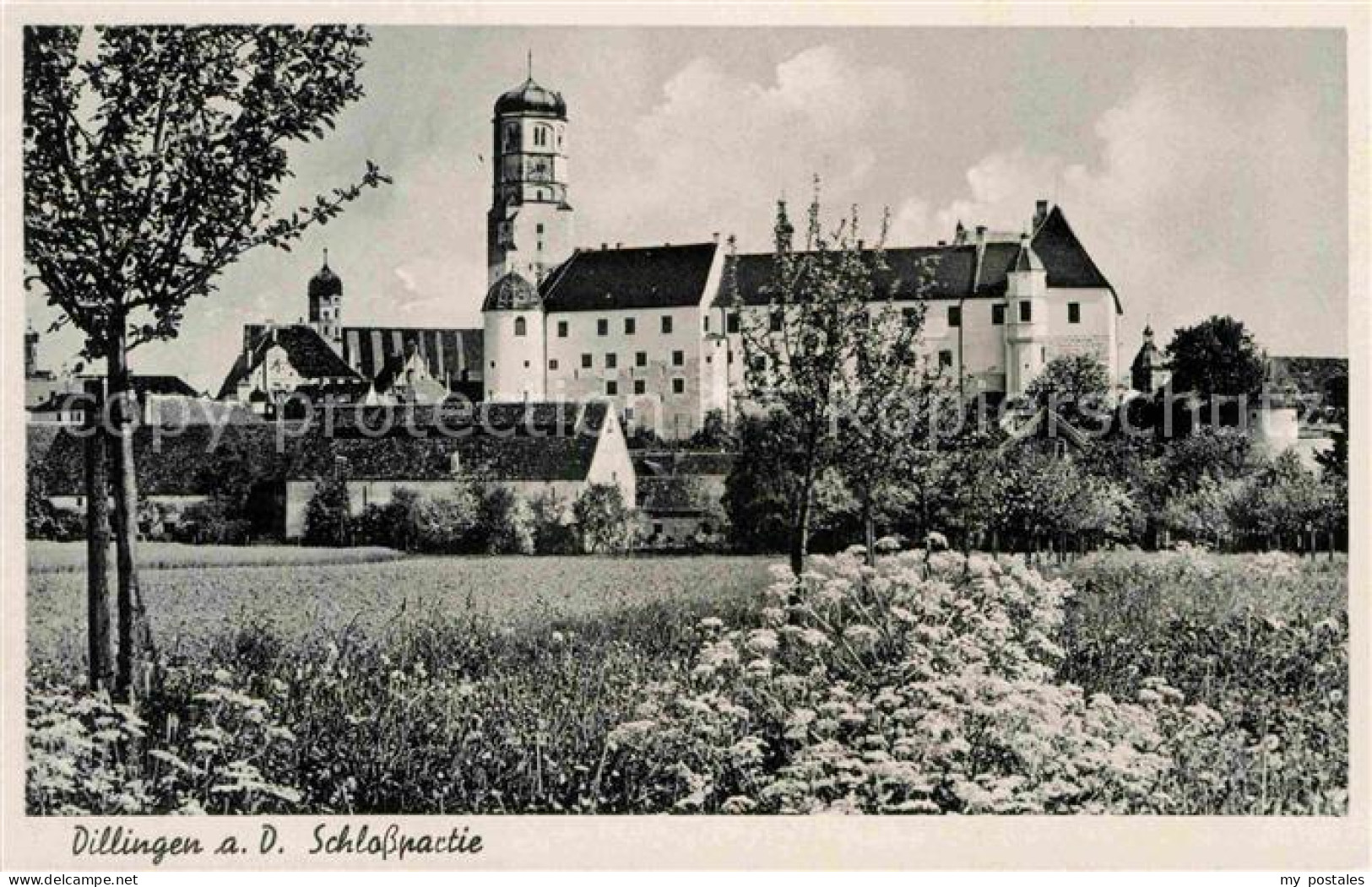 42722451 Dillingen Donau Schlosspartie Dillingen A.d.Donau - Dillingen