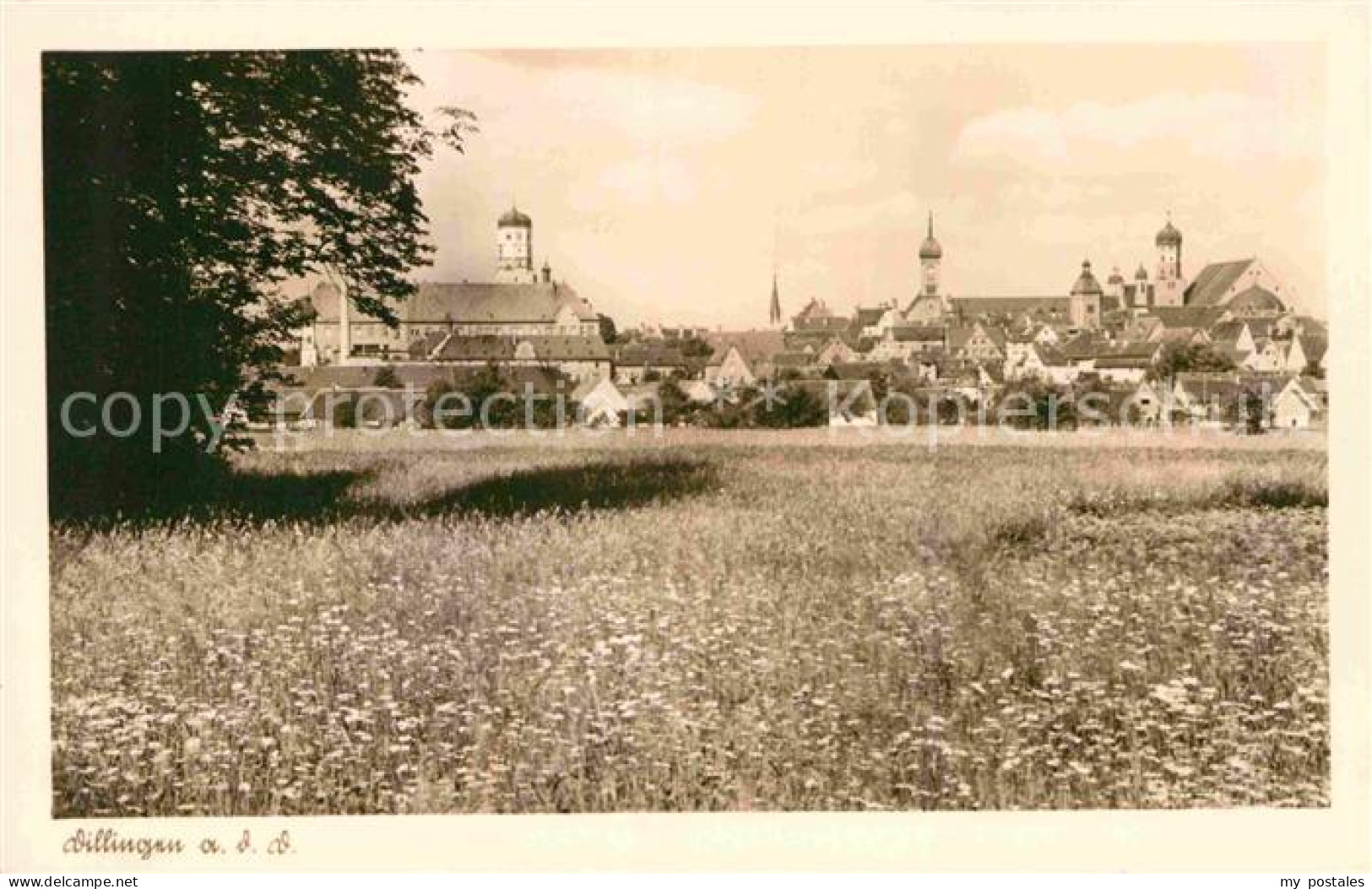 42721519 Dillingen Donau Panorama  Dillingen A.d.Donau - Dillingen