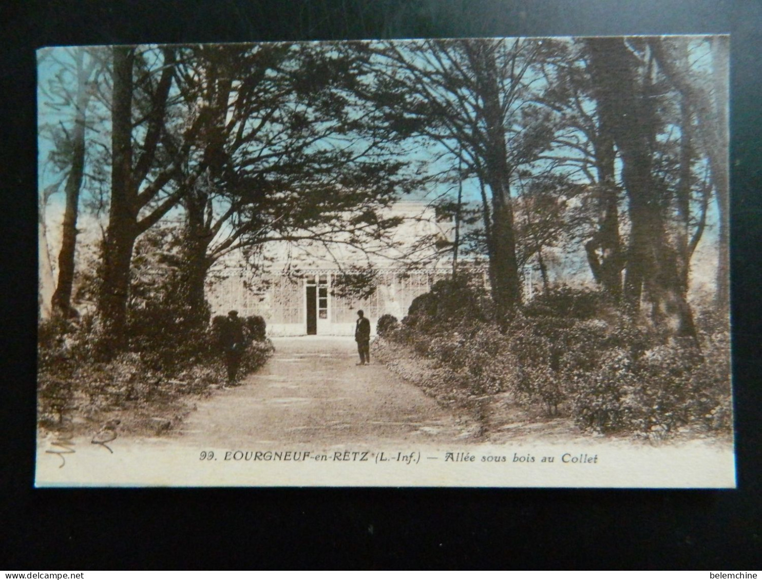 BOURGNEUF EN RETZ                  ALLEE SOUS BOIS AU COLLET - Bourgneuf-en-Retz