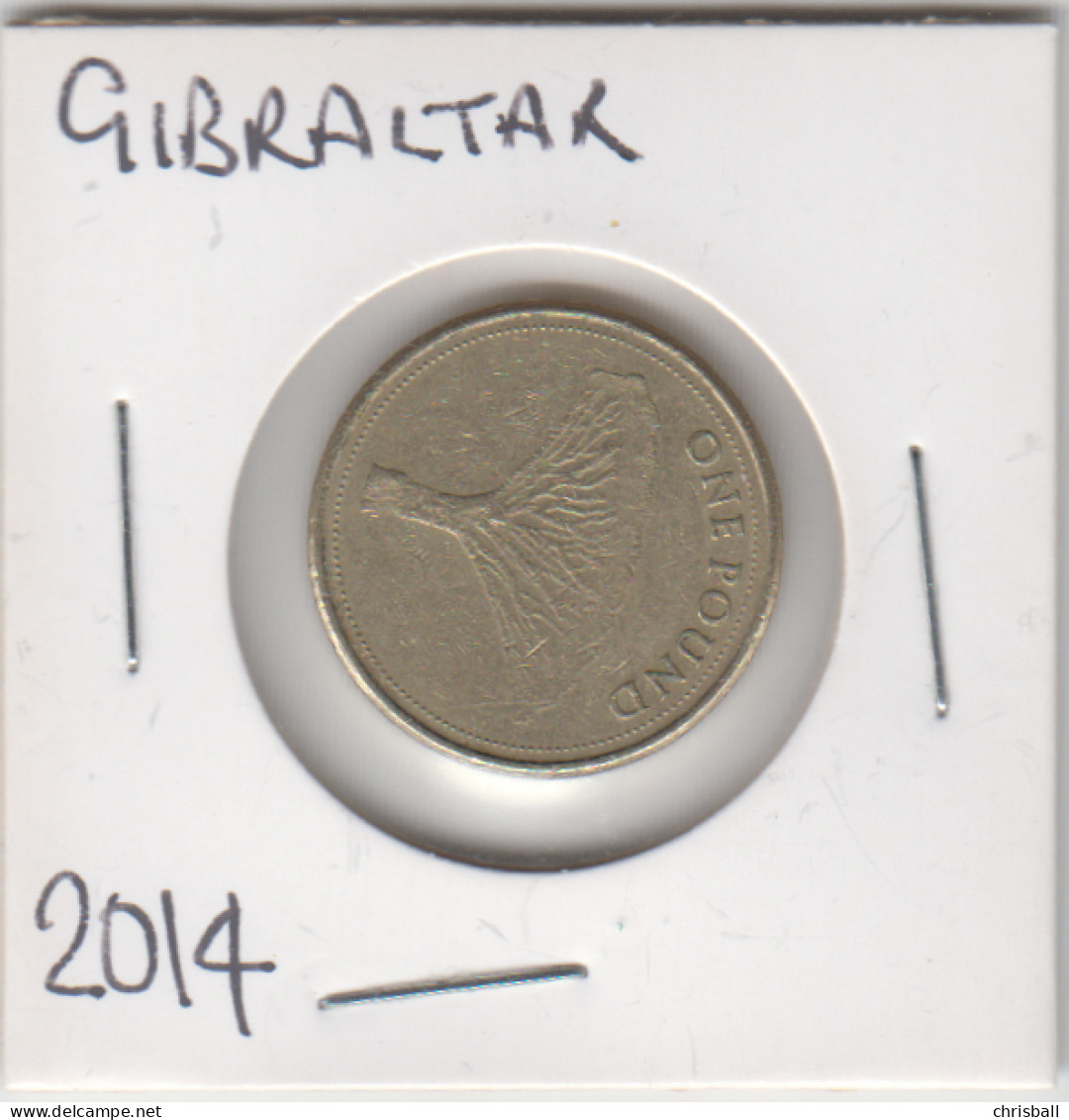 Gibraltar One Pound Coin Gibraltar 2014 'Dragon Tree' Circulated - Gibraltar
