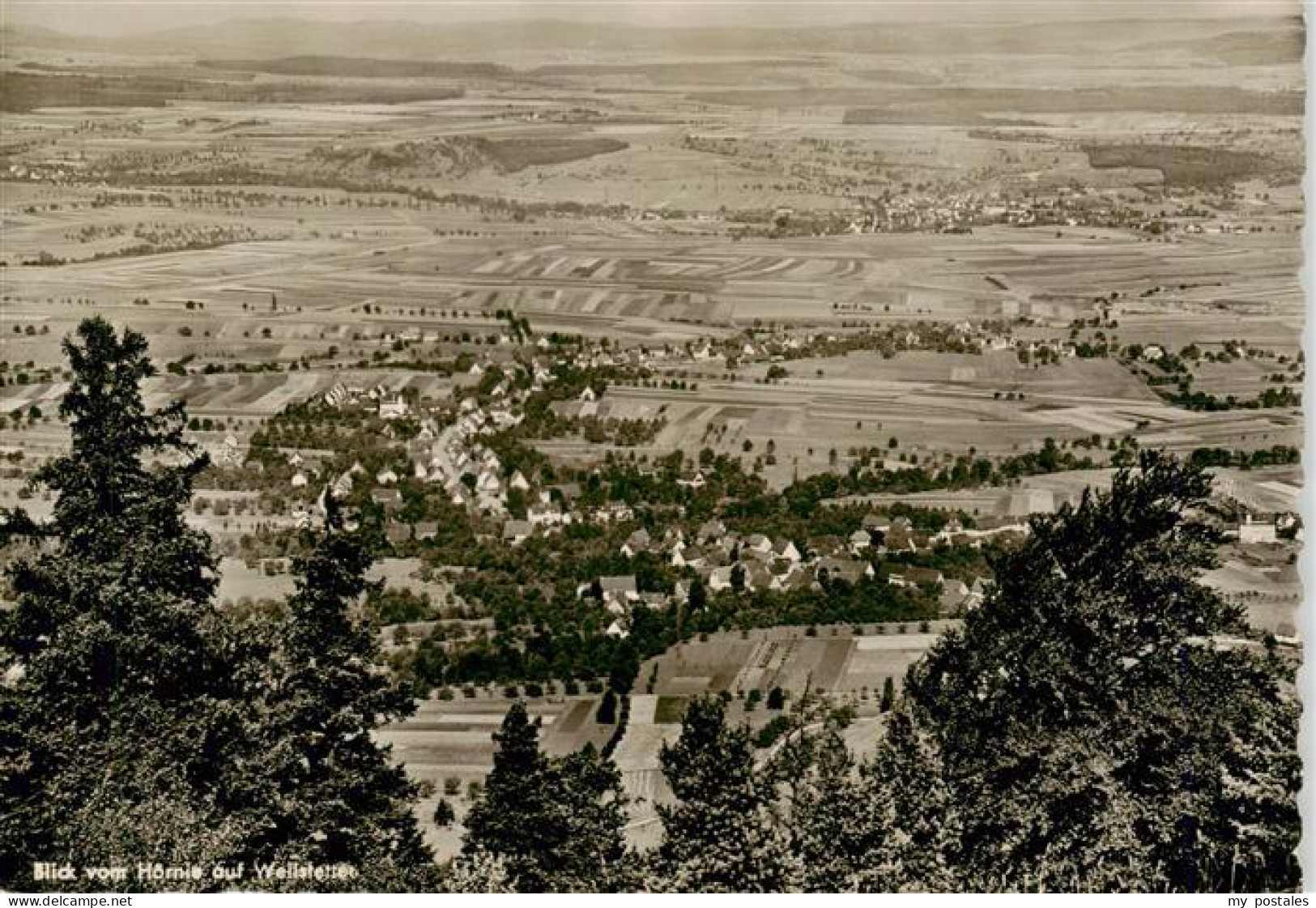 73903237 Weilstetten Blick Vom Hoernle Weilstetten - Balingen