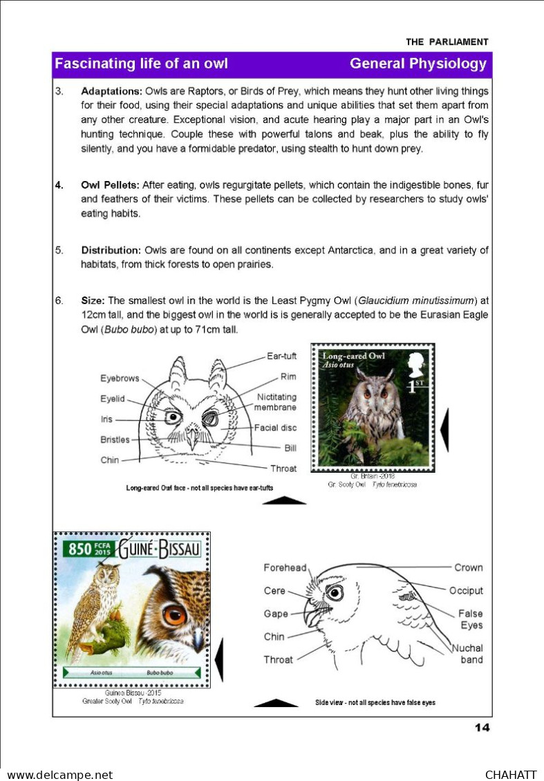 OWLS - RAPTORS- BIRDS OF PREY-"THE PARLIAMENT" - GALLERY OF OWLS ON STAMPS- EBOOK-PDF- DOWNLOADABLE-372 PAGES