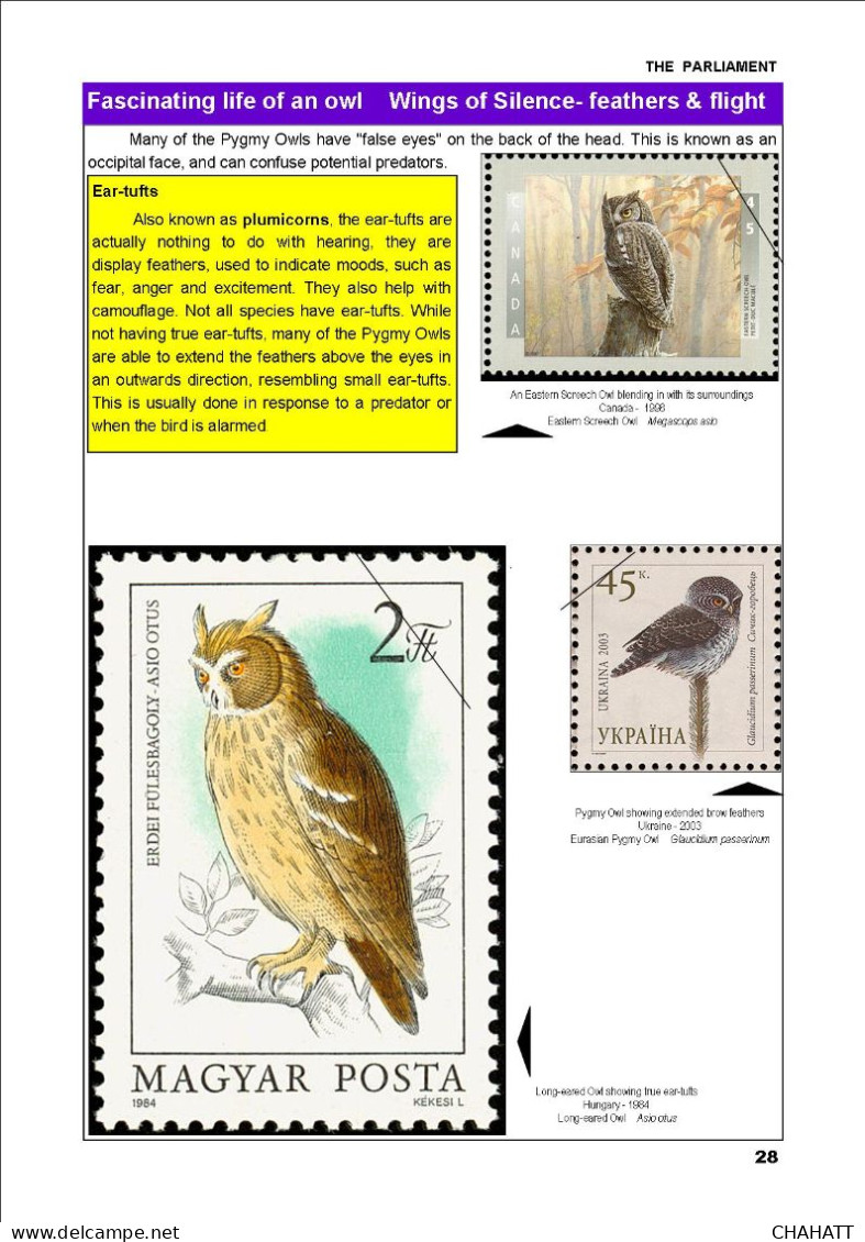 OWLS - RAPTORS- BIRDS OF PREY-"THE PARLIAMENT" - GALLERY OF OWLS ON STAMPS- EBOOK-PDF- DOWNLOADABLE-372 PAGES