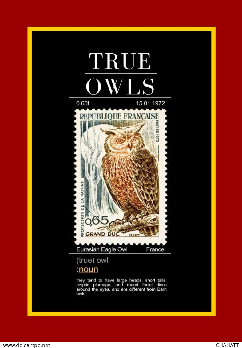 OWLS - RAPTORS- BIRDS OF PREY-"THE PARLIAMENT" - GALLERY OF OWLS ON STAMPS- EBOOK-PDF- DOWNLOADABLE-372 PAGES