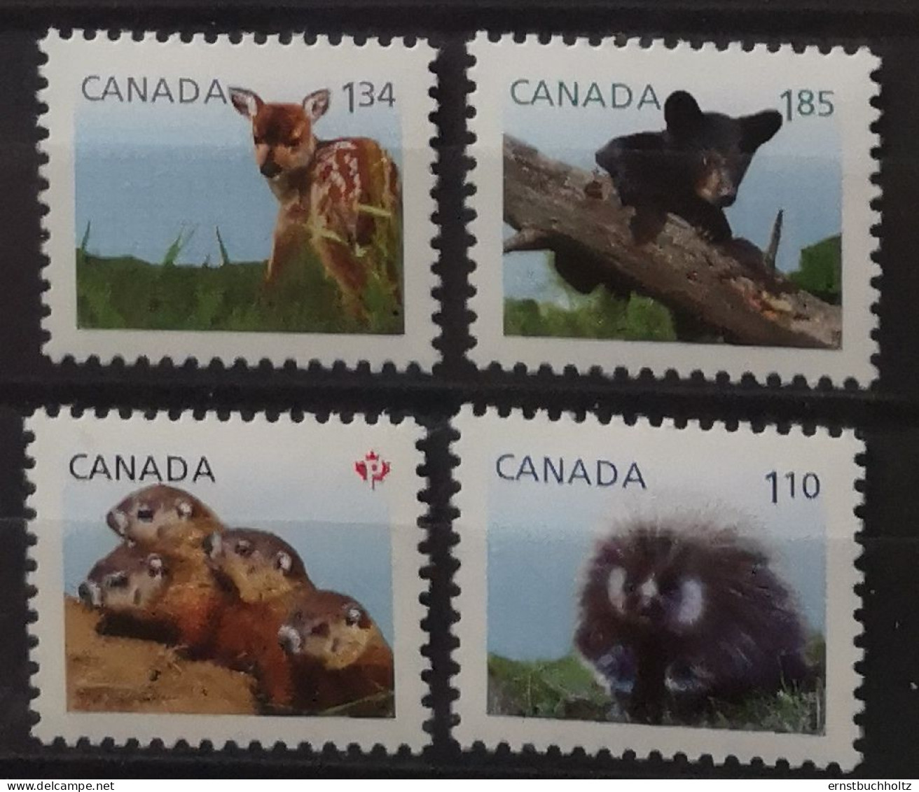 Kanada 2013 Wiuldlebende Säugetiere Mi 2927/30** - Ungebraucht
