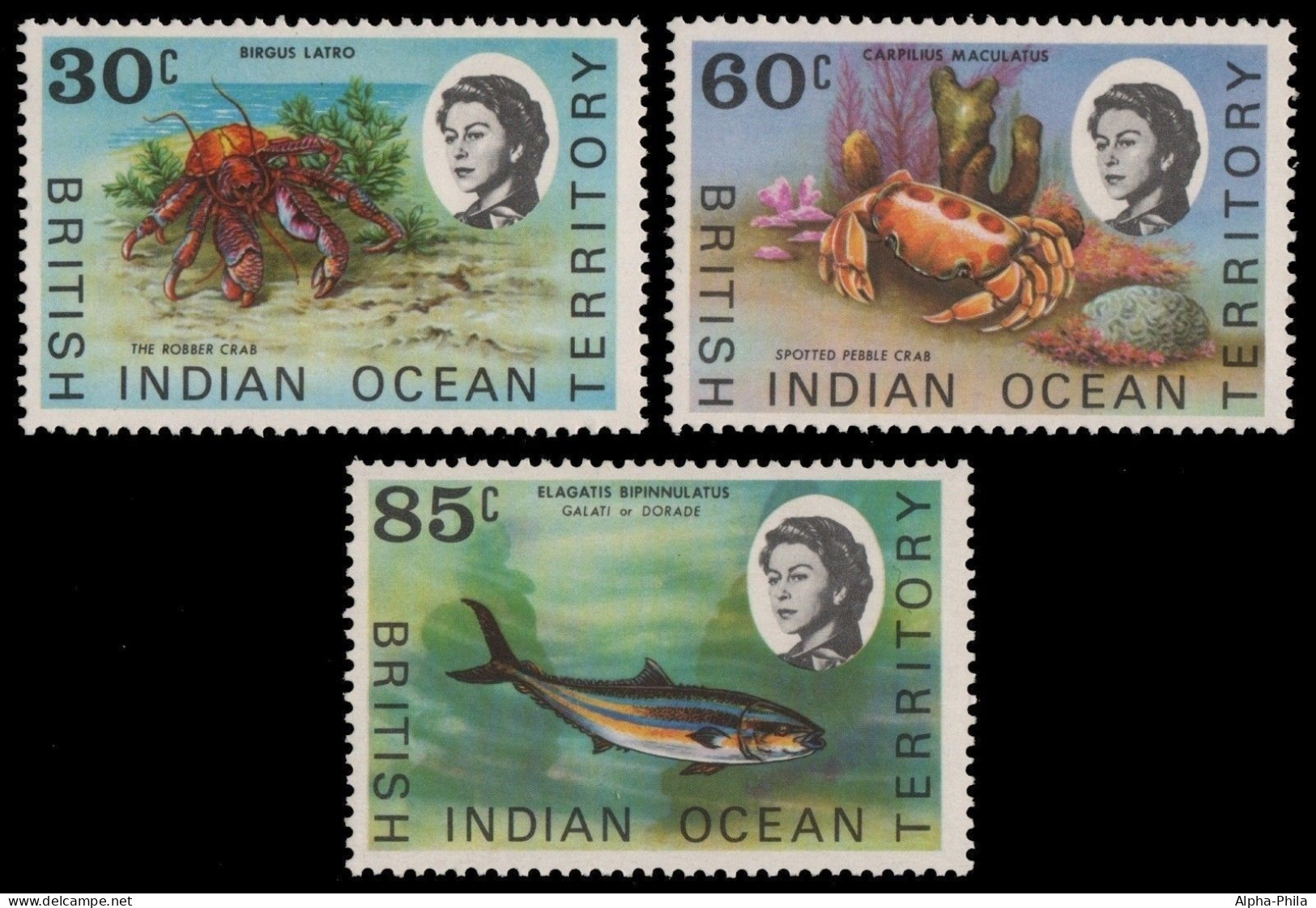 BIOT 1970 - Mi-Nr. 36-38 ** - MNH - Meeresleben / Marine Life - Territoire Britannique De L'Océan Indien