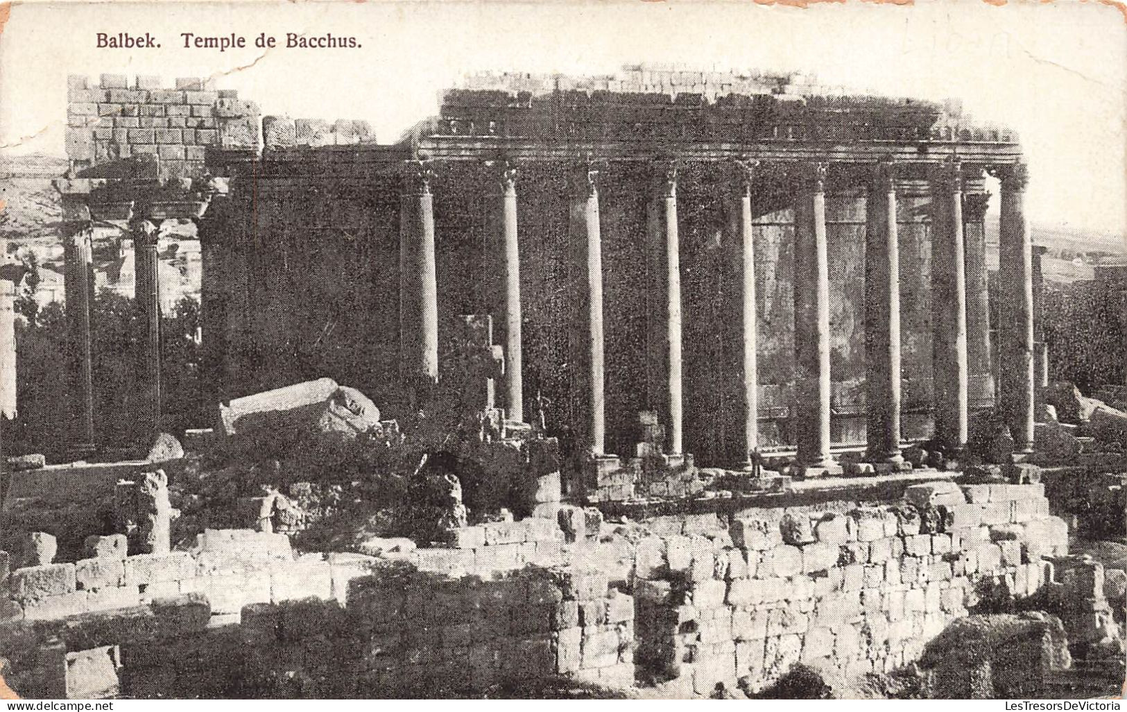 LIBAN - Balbek - Temple De Bacchus - Ruines - Colonnes - Carte Postale Ancienne - Liban