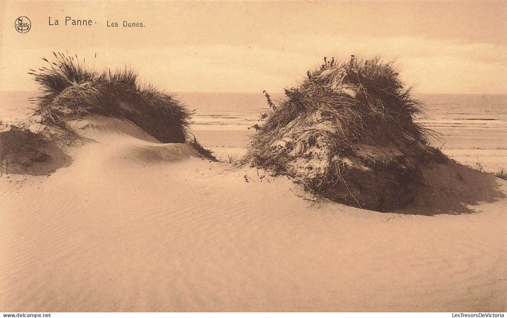 BELGIQUE - La Panne - Les Dunes - Carte Postale Ancienne - De Panne