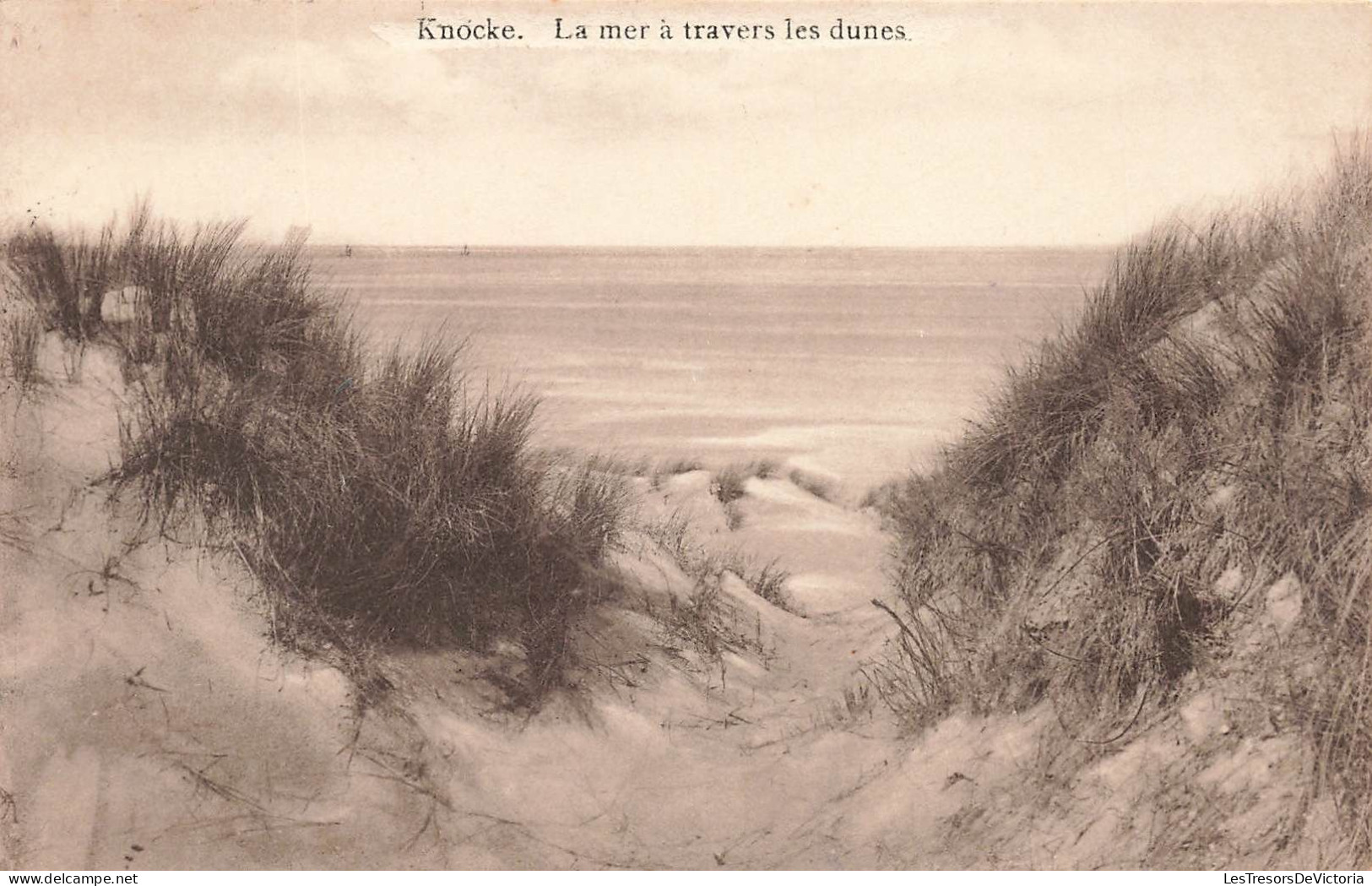 BELGIQUE - Knokke - La Mer à Travers Les Dunes - Carte Postale Ancienne - Knokke