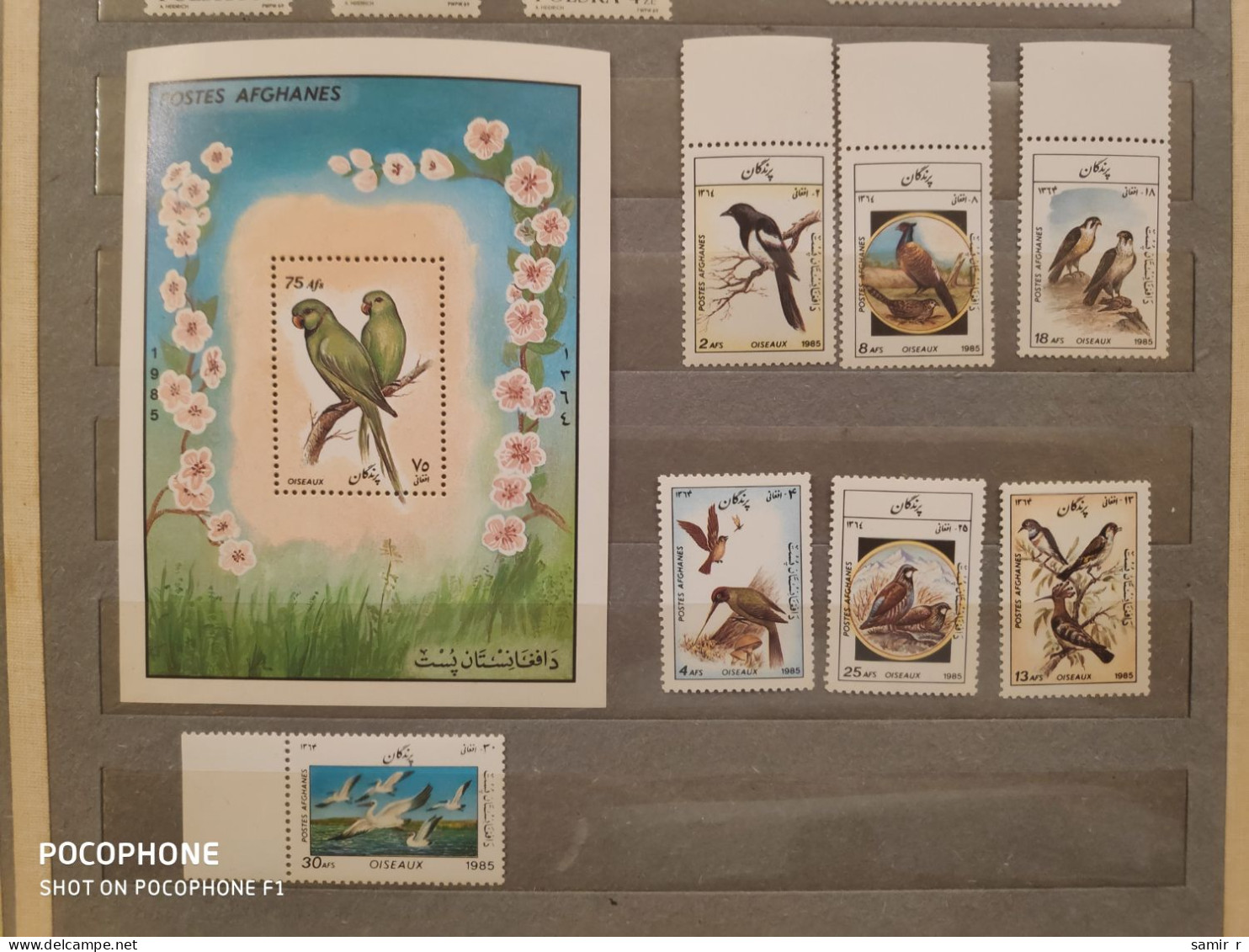 1985	Afghanistan	Birds (F74) - Afghanistan