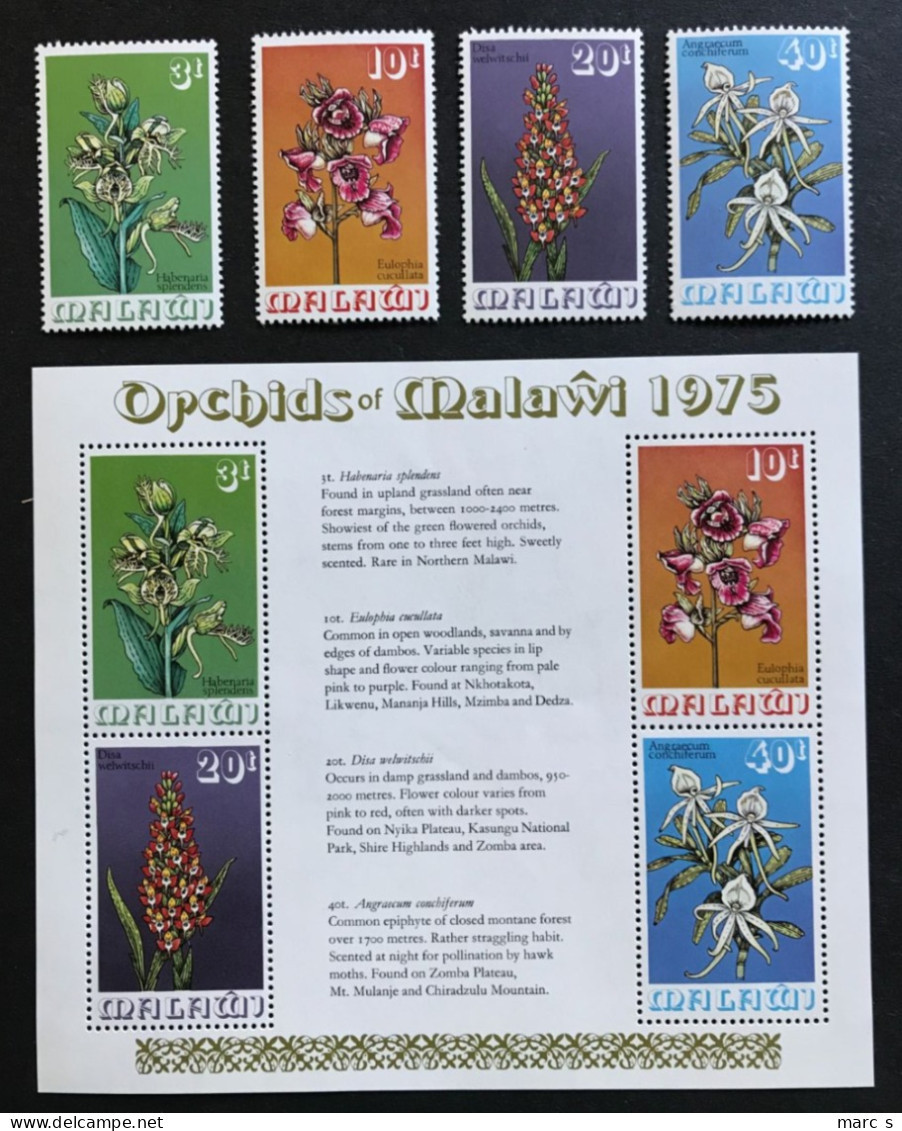 MALAWI 1975 - NEUF**/MNH - LUXE - Série Complète Mi 246 / 249 + BF 40 - FLORE FLEURS FLOWERS FLORA - Malawi (1964-...)