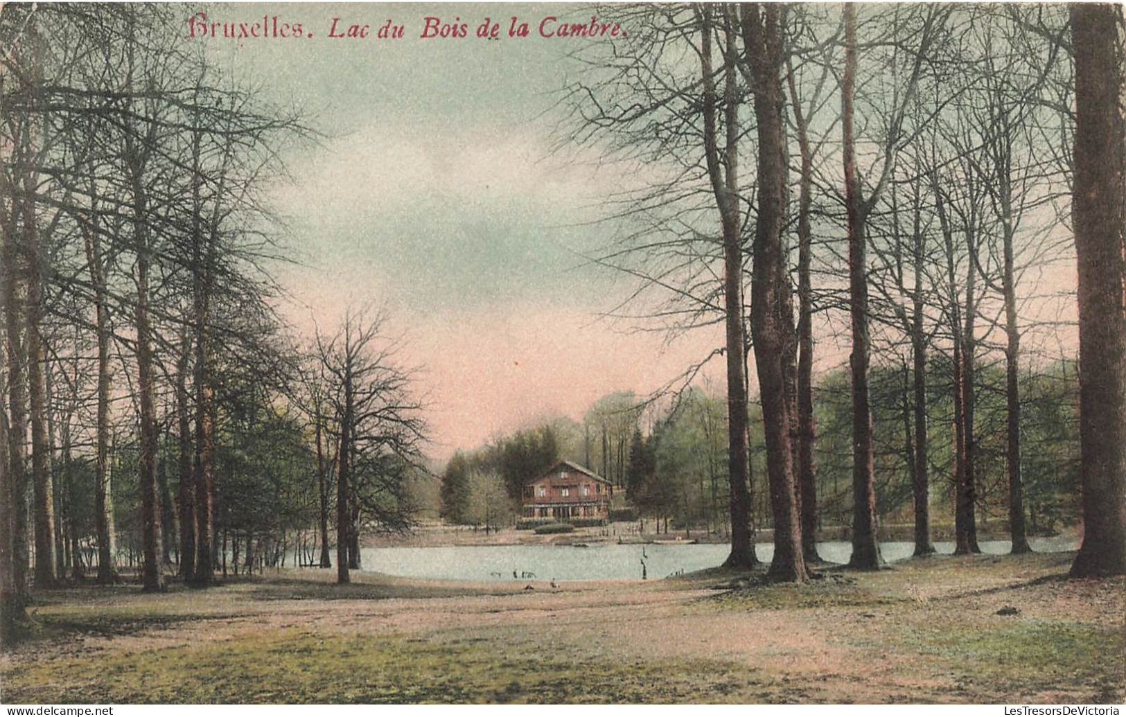 BELGIQUE - Bruxelles - Vue Sur Le Lac Du Bois De La Cambre - Colorisé - Carte Postale Ancienne - Forêts, Parcs, Jardins