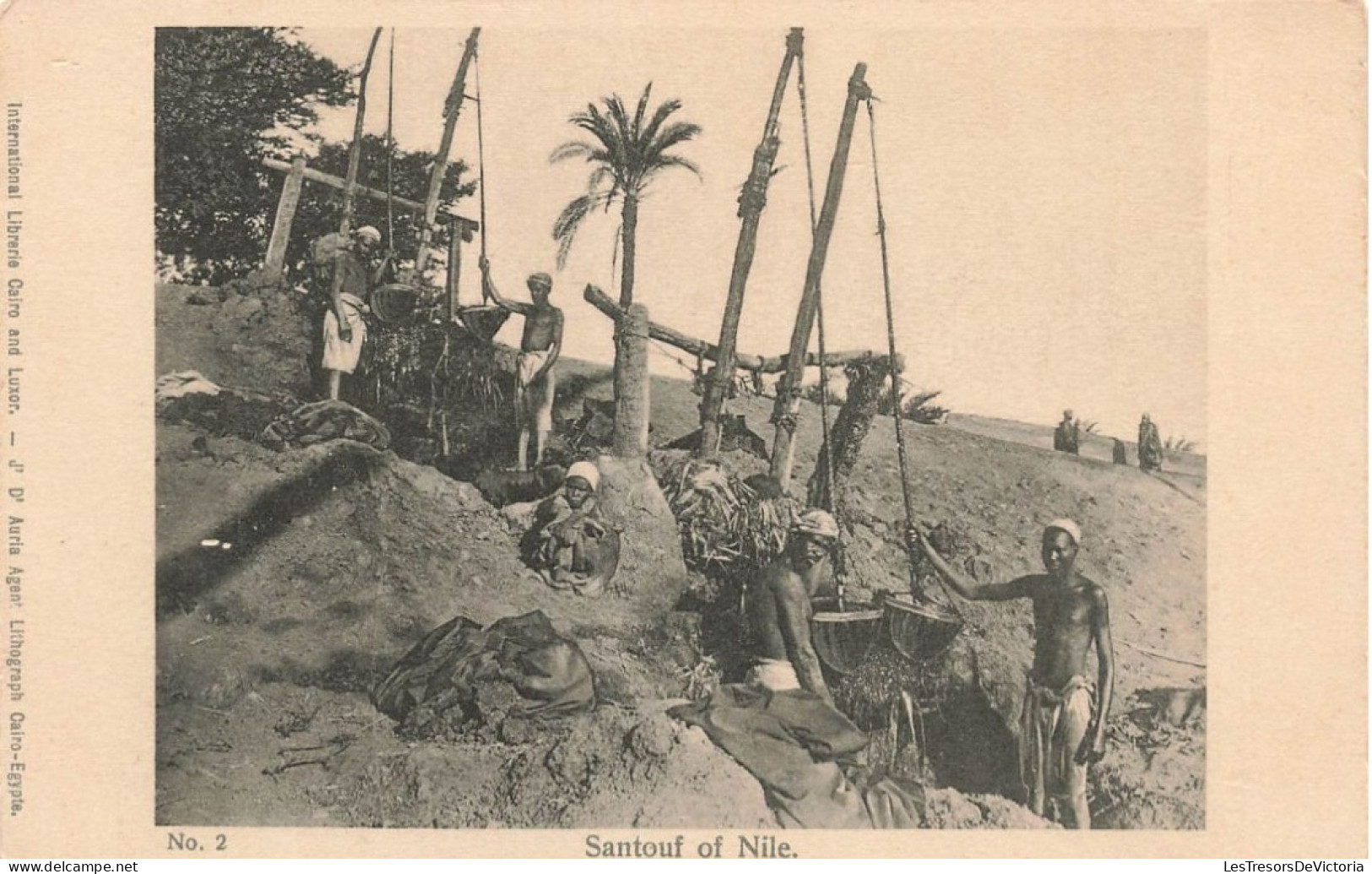 EGYPTE - Santouf Of Nile - International Library Cairo - Personnes - Traditionnels - Carte Postale Ancienne - Persons