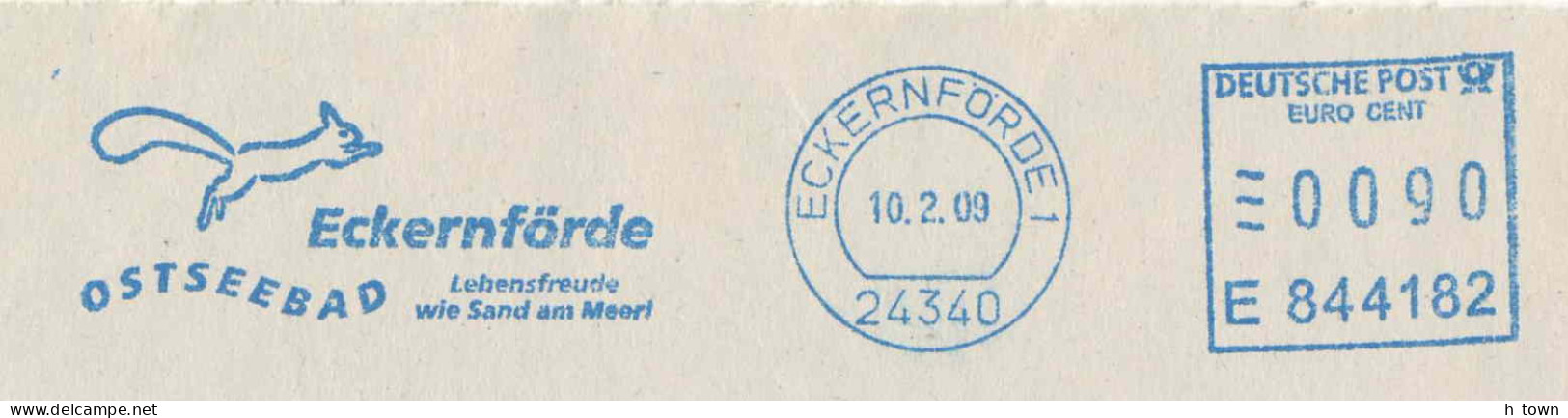 954  Écureuil: Ema D'Allemagne, 2009 - Squirrel Meter Stamp From Eckernförde, Germany - Roedores