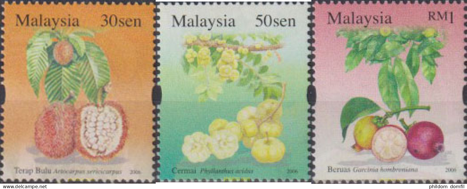 229582 MNH MALASIA 2006 FRUTOS RAROS - Malaysia (1964-...)