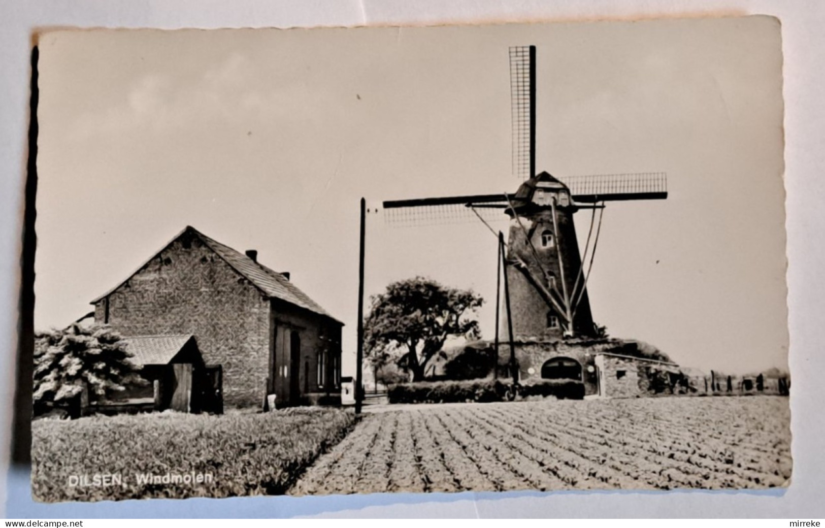 @Le2@  -  DILSEN  -  Windmolen    -  Zie / Voir Scan's - Dilsen-Stokkem