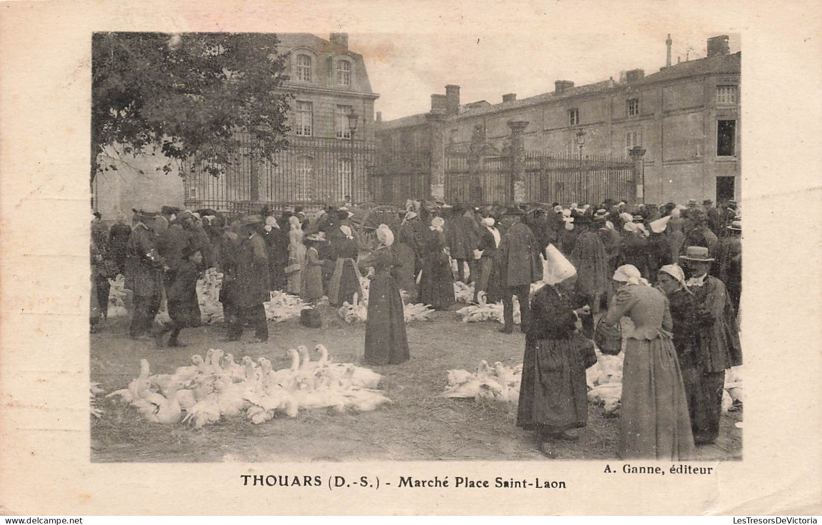 FRANCE - Thouars - Marché Place Saint Laon- Carte Postale Ancienne - Thouars