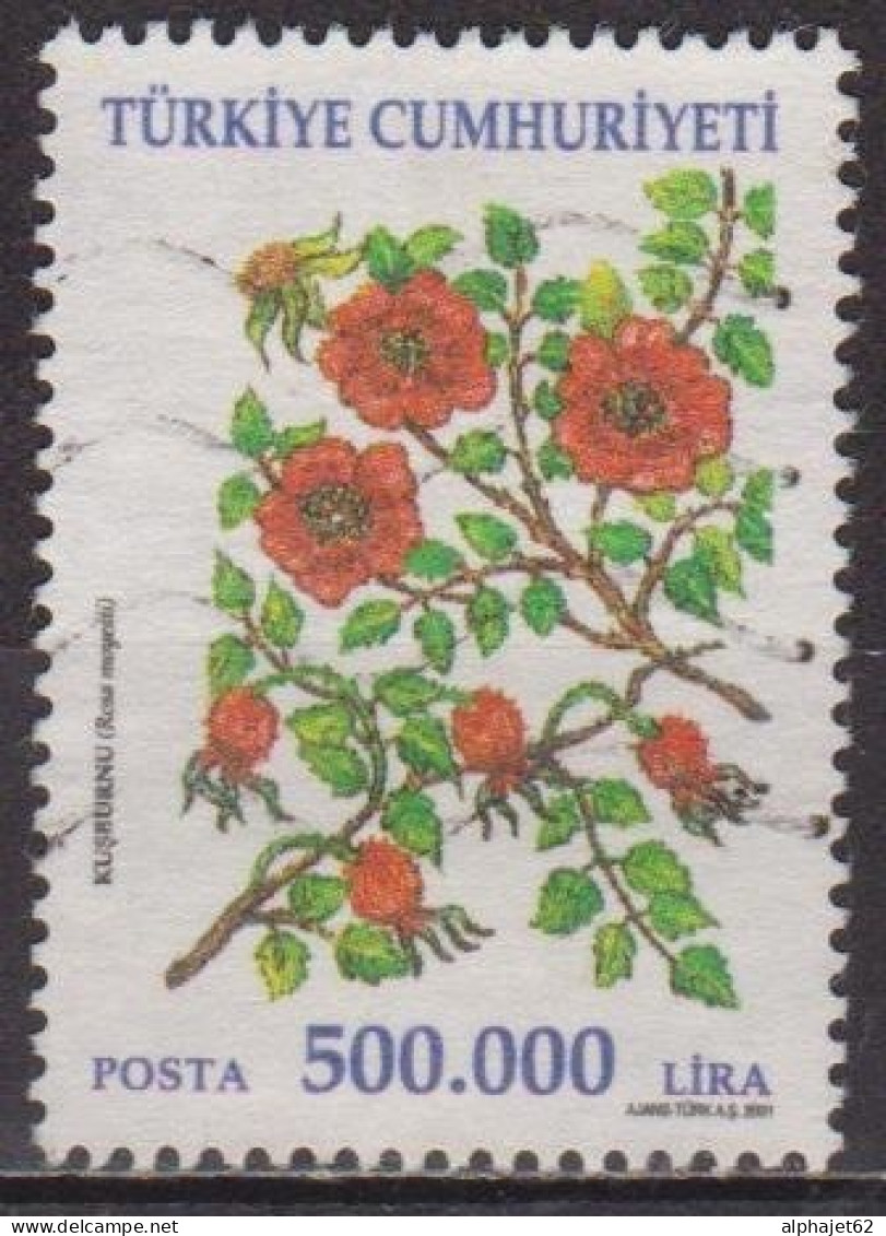 Flore, Fleurs - TURQUIE - Rosier Sauvage De Chine - N°  2998 - 2001 - Gebraucht