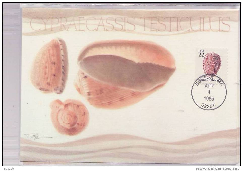 ETATS UNIS CARTE MAXIMUM NUM.YVERT 1580  FAUNE COQUILLAGE - Cartoline Maximum