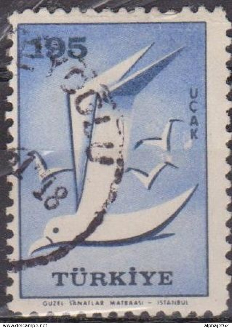 Faune, Oiseaux - TURQUIE - Mouettes - N° 45 - 1959 - Poste Aérienne